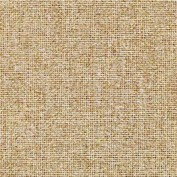 CAMIRA CARA EJ173-Austen