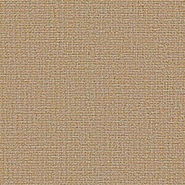 CAMIRA CARLOW CLW04-Quin