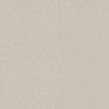 CAMIRA ERA 170-CSX01-Futurist