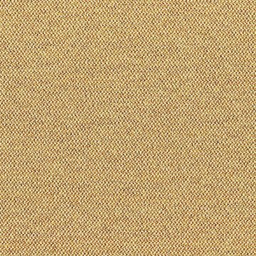 CAMIRA ERA 170-CSX31-Splitsecond