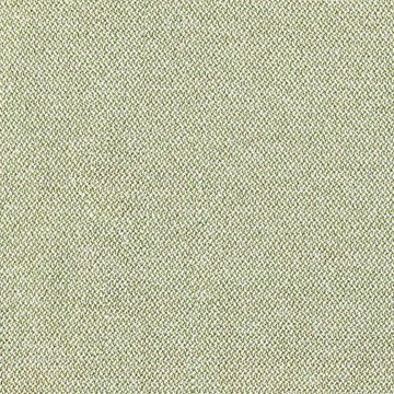 CAMIRA ERA 170-CSX33-Analogue