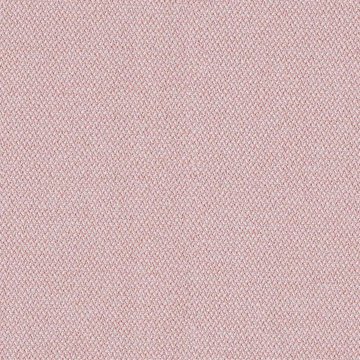 CAMIRA ERA 170-CSX19-Calendar