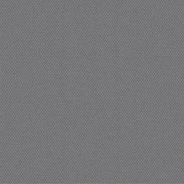 CAMIRA ERA 170-CSX11-Forecast