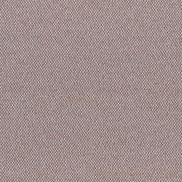 CAMIRA ERA 170-CSX23-Occurrence