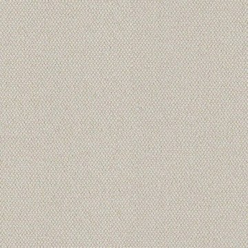 CAMIRA ERA-CSE01-Futurist