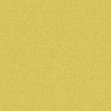 CAMIRA ERA-CSE03-Lifetime