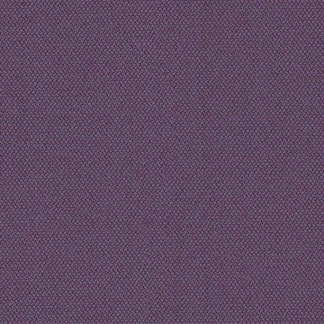 CAMIRA ERA-CSE09-Prime