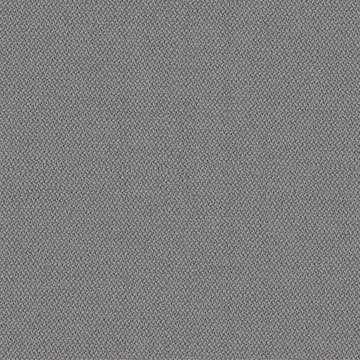 CAMIRA ERA-CSE11-Forecast