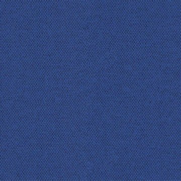 CAMIRA ERA-CSE12-Perennial