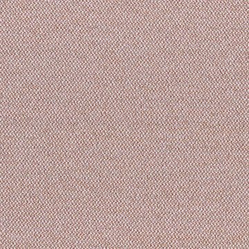 CAMIRA ERA-CSE24-Date
