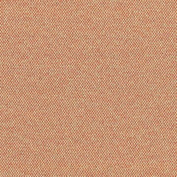 CAMIRA ERA-CSE25-Sequence