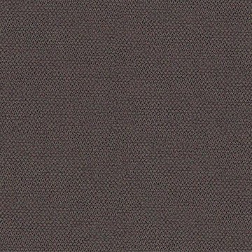 CAMIRA ERA-CSE21-History