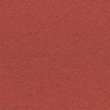 CAMIRA ERA-CSE29-Experience