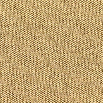 CAMIRA ERA-CSE31-Splitsecond