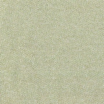 CAMIRA ERA-CSE33-Analogue