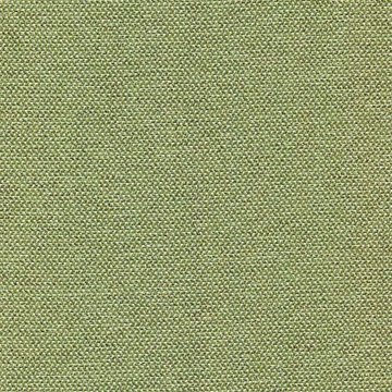CAMIRA ERA-CSE34-Endurance