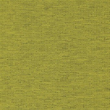 CAMIRA GRAVITY-CPC07-Gooseberry