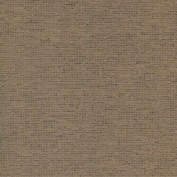 CAMIRA GRAVITY-CPC10-Almond