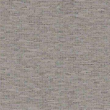 CAMIRA GRAVITY-CPC17-Dove