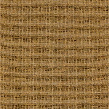 CAMIRA GRAVITY-CPC14-Mustard