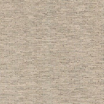 CAMIRA GRAVITY-CPC21-Wheat