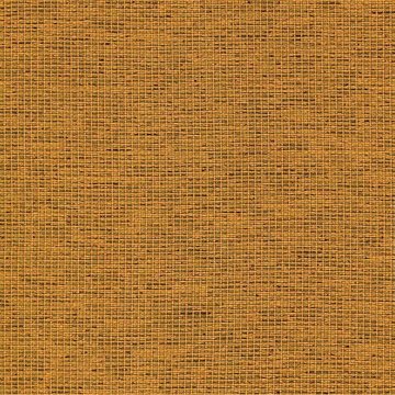 CAMIRA GRAVITY-CPC20-Sunni