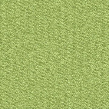 CAMIRA INTERVENE PLAIN YH096