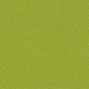 CAMIRA LUCIA CS LC419