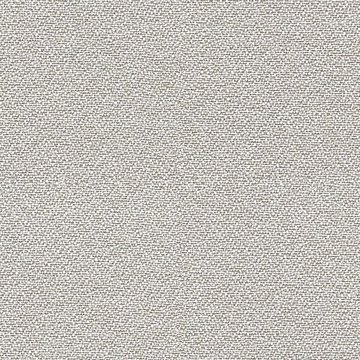 CAMIRA LUCIA CS LC434