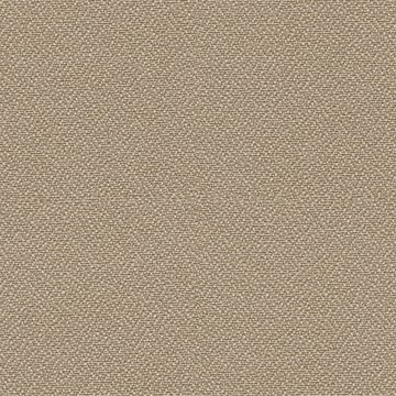 CAMIRA LUCIA T2T YB093-Aruba