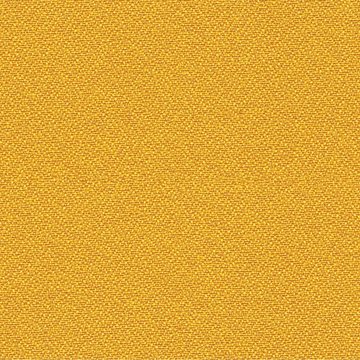 CAMIRA LUCIA T2T YB088-Solano