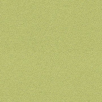 CAMIRA LUCIA T2T YB096-Apple