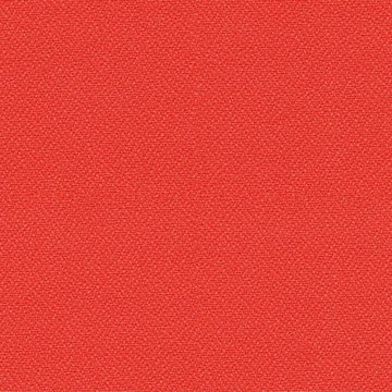 CAMIRA LUCIA T2T YB168-Tortuga