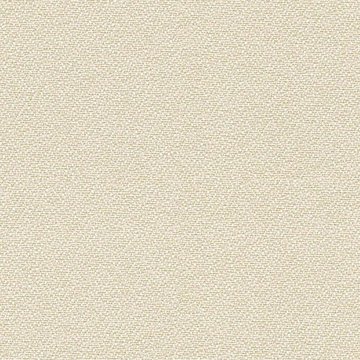 CAMIRA LUCIA T2T YB107-Oyster