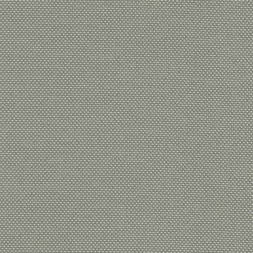 CAMIRA QUEST QUE02-Fossil