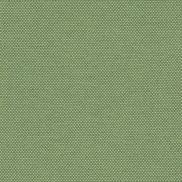 CAMIRA QUEST QUE13-Sea Grass