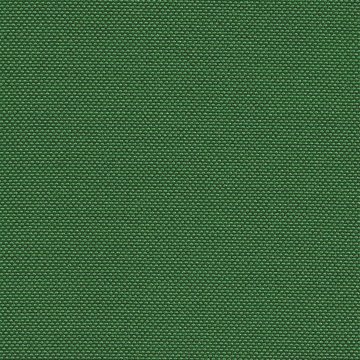 CAMIRA QUEST QUE14-Algae
