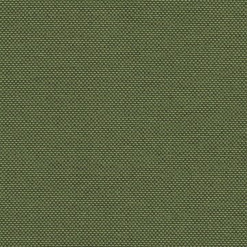 CAMIRA QUEST QUE18-Abalone