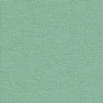 CAMIRA QUEST QUE17-Urchin