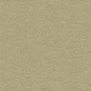 CAMIRA QUEST QUE19-Driftwood