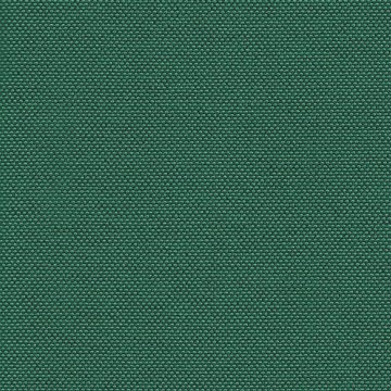 CAMIRA QUEST QUE15-Kelp