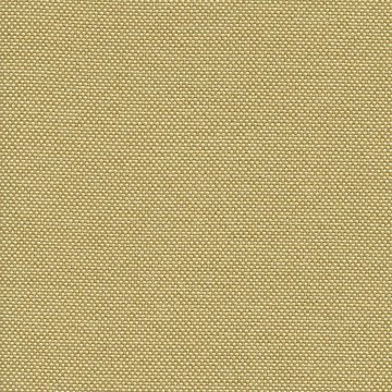 CAMIRA QUEST QUE21-Beach Comber