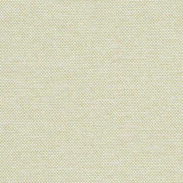 CAMIRA QUEST QUE22-Salt