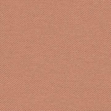 CAMIRA QUEST QUE26-Shrimp
