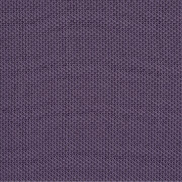 CAMIRA REPLAY REP31