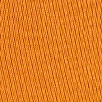 CAMIRA SPRINT PS015-Gold