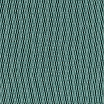 CAMIRA SPRINT PS041-Champion