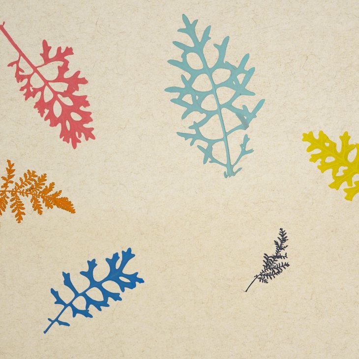 Organoid Clolour Splash Flax