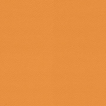 CAMIRA VITA ITA03