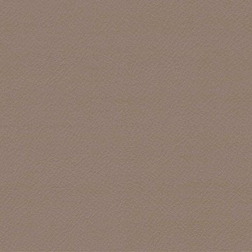 CAMIRA VITA ITA02